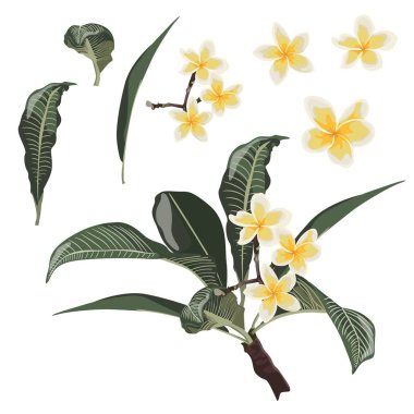 güzel çiçekler desen arka plan vektör illüstrasyon