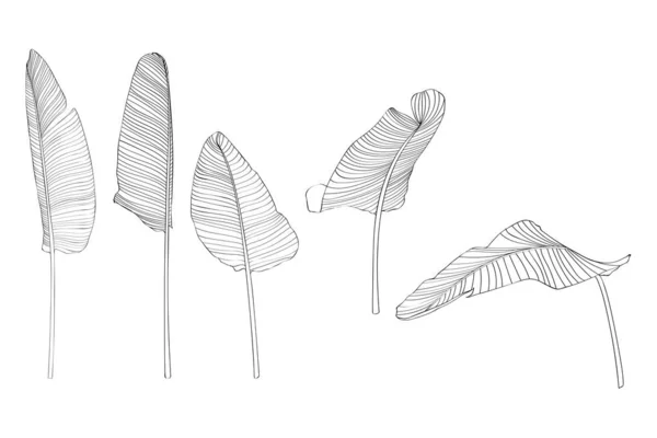 Vektorová Ilustrace Krásného Letního Tropického Květního Vzorku — Stockový vektor