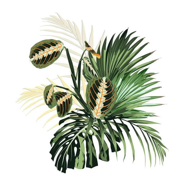 Векторна Ілюстрація Красивого Літнього Тропічного Квіткового Візерунка Фону — стоковий вектор