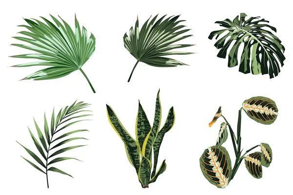 Vektor Illustration Vackra Sommar Tropiska Blommönster Bakgrund — Stock vektor