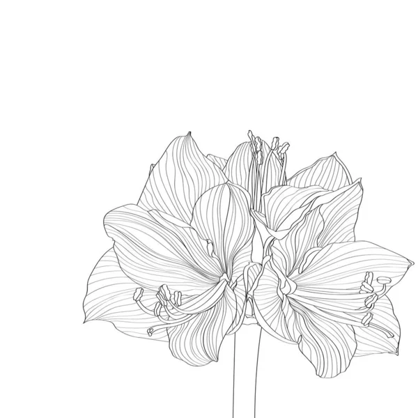 Vektor Illustration Vackra Sommar Tropiska Blommönster Bakgrund — Stock vektor