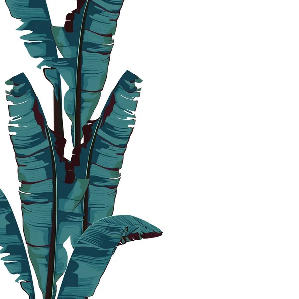 Векторная Иллюстрация Красивого Летнего Тропического Цветочного Фона — стоковый вектор