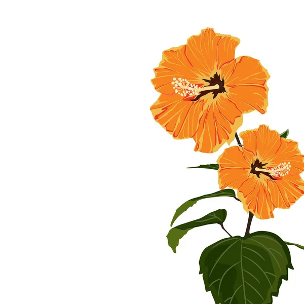 Vector Illustratie Van Mooie Zomer Tropische Bloemmotief Achtergrond — Stockvector