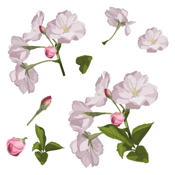 Vektor Illustration Von Schönen Blumen Muster Hintergrund — Stockvektor