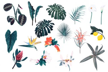 güzel yaz tropikal çiçek desen arka plan vektör illüstrasyon