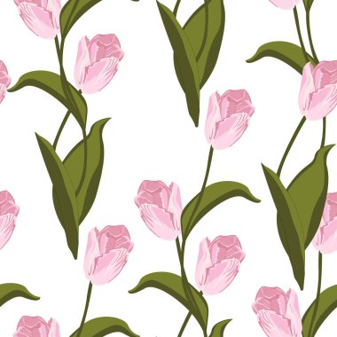 Laleler dikişsiz desen. Vektör illüstrasyon. Beyaz arka planda bahar pembe çiçekleri. 