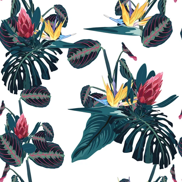 Vektor Illusztrációja Gyönyörű Nyári Trópusi Virágmintás Háttér — Stock Vector