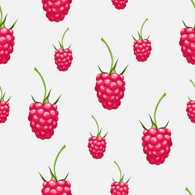 parlak ahududu desen vektör illüstrasyon