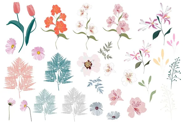 Ilustración Vectorial Fondo Hermoso Patrón Floral — Vector de stock