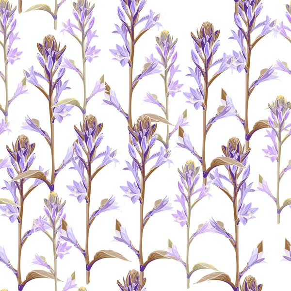 Vektor Illustration Der Schönen Floralen Muster Hintergrund — Stockvektor