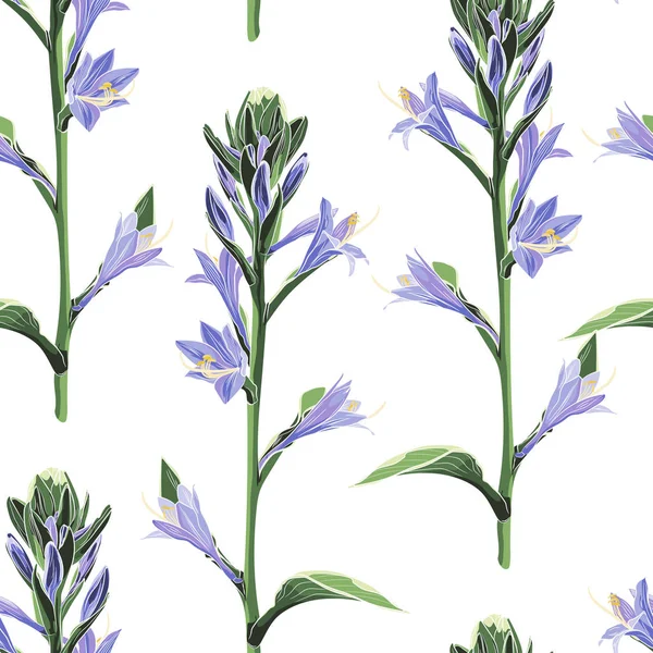 Απεικόνιση Διάνυσμα Όμορφο Φόντο Floral Μοτίβο — Διανυσματικό Αρχείο
