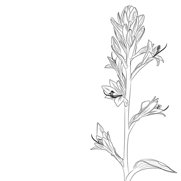 Vektor Illusztrációja Gyönyörű Virágmintás Háttér — Stock Vector