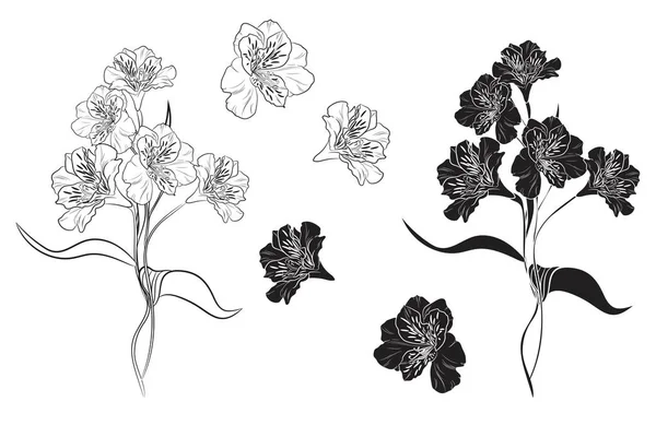 Ilustración Vectorial Fondo Hermoso Patrón Floral — Archivo Imágenes Vectoriales