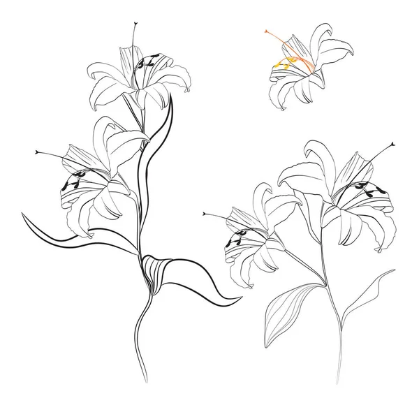Vektorová Ilustrace Nádherného Květního Vzorku — Stockový vektor