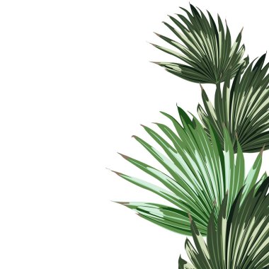 güzel çiçek desen arka plan vektör illüstrasyon