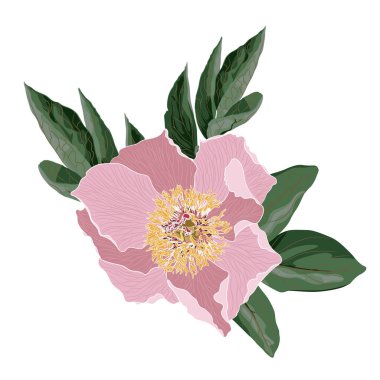 güzel çiçek desen arka plan vektör illüstrasyon