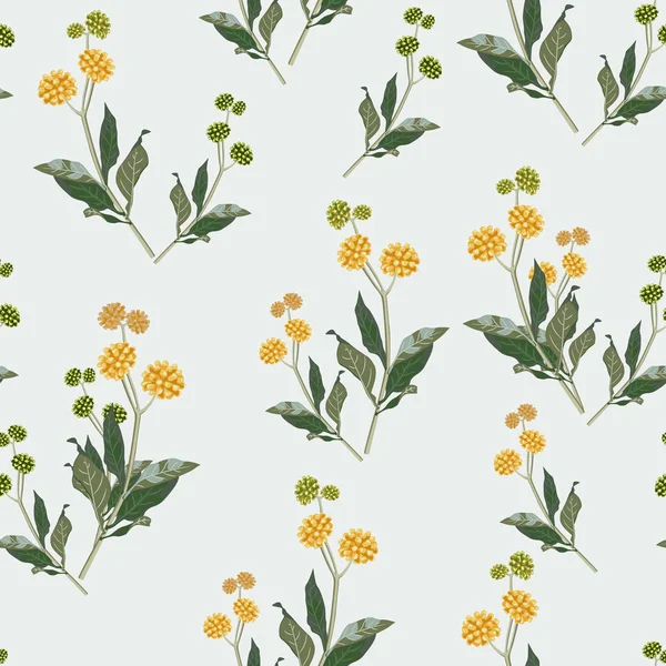 Naadloze Elegante Bloemmotief Van Gele Wildflowers Botanische Motieven Zijn Willekeurig — Stockvector