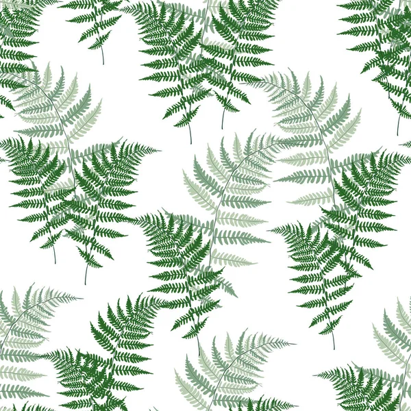 シダフロンドハーブ 熱帯林植物は シームレスなベクトル背景イラストを残します ブラッケンの葉 ジャングルの葉 熱帯シダの森の草のハーブ 白い背景 — ストックベクタ