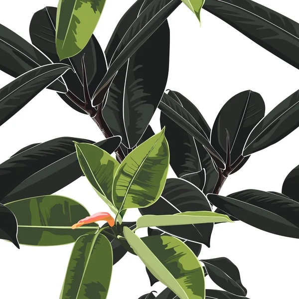 Tropikal Karanlık Parlak Ficus Elastica Ile Güzel Dikişsiz Çiçek Desenli — Stok Vektör