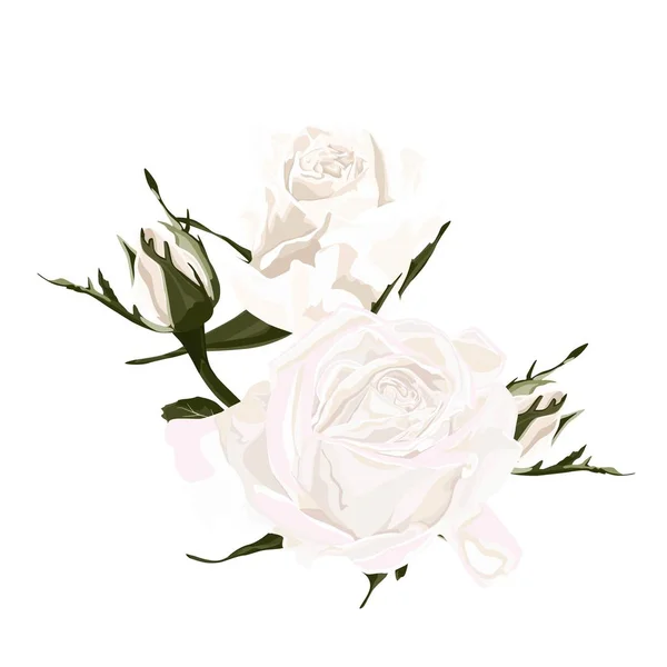 花卉枝 花白玫瑰和芽 婚礼概念与鲜花 花卉海报 贺卡或邀请设计的矢量排列 — 图库矢量图片