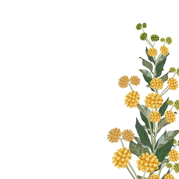 Vildgula Blommor Med Blå Blad Vårdekorativ Bukett Liten Blomsterkrans Vektorillustration — Stock vektor