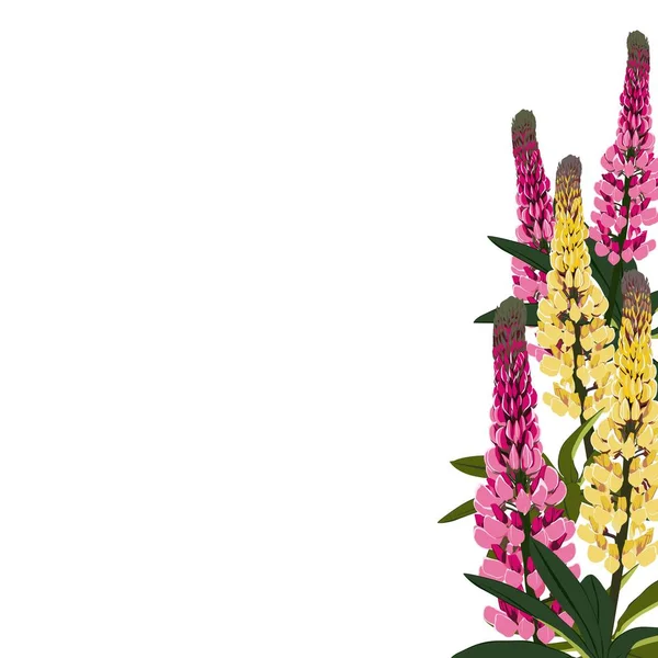 Flores Tremoço Rosa Amarelo Com Folhas Buquê Decorativo Primavera Pequena — Vetor de Stock