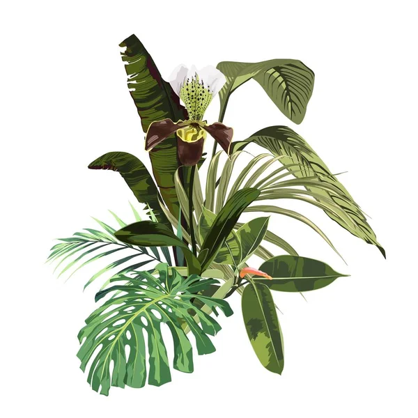 Nahtlose Exotische Muster Mit Tropischen Blättern — Stockvektor