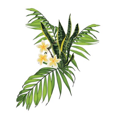 Çiçek buketi tasarım: egzotik tropikal yaprakları ve plumeria çiçekler. Davet kartı için düğün öğesi. Tasarımcı öğesi kümesi. Beyaz arka plan.