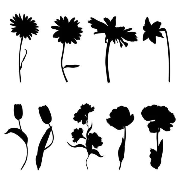 Σετ Από Απομονωμένα Μαύρα Άνθη Σιλουέτας Απεικόνιση Διάνυσμα — Διανυσματικό Αρχείο