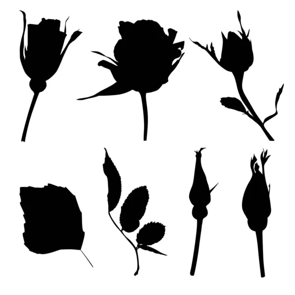 Conjunto Silueta Aislada Flores Negras Ilustración Vectorial — Vector de stock