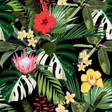 Doğa kusursuz desen. el çizilmiş tropikal yaz arka plan: monstera ve palmiye ağacı yaprakları, plumeria ve kırmızı ebegümeci çiçekleri. Beyaz arka plan.