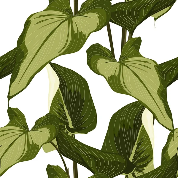 Tropical Spathiphyllum Flores Folhas Palma Folhas Selva Padrão Selva Floral — Vetor de Stock