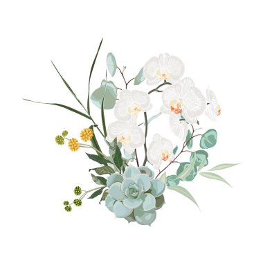 Çiçek buket tasarım elementi, egzotik beyaz orkide çiçeği, okaliptüs dallı yeşillik yaprakları. Düğün davetiyesi. Tasarımcı ögesi seti. Beyaz arkaplan.