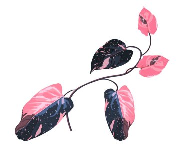 Pembe tropikal dal. Beyaz arka planda parlak tropikal yapraklar var. Pankartlar, broşürler, dergiler veya satışlar için şık tasarım.