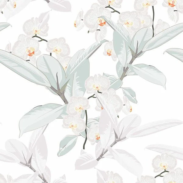 Fiori Orchidea Bianca Tropicale Senza Cuciture Motivo Ficus Elastica Sfondo — Vettoriale Stock