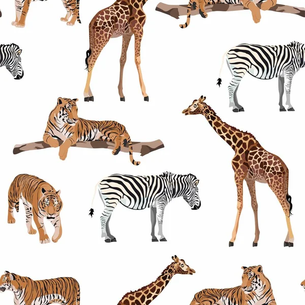 Animal Exótico Tigre Zebra Girafa Padrão Vintage Fundo Ilustração Sem —  Vetores de Stock