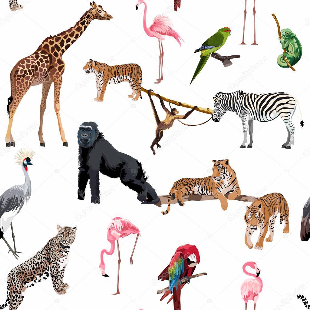 Different kind of tropical Safari animals characters seamless pattern. Parrot, flamingo, garaffe, zebra, birds, gorilla, monkey.