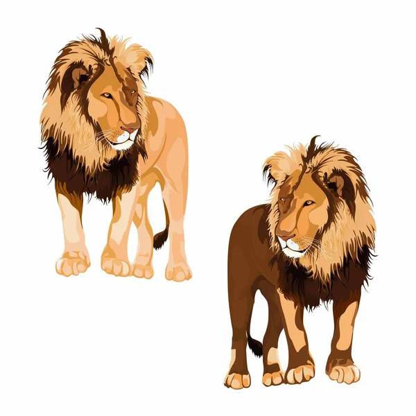 ライオン 白を基調としたライオンの芸術的 色彩的 現実的な肖像画 — ストックベクタ