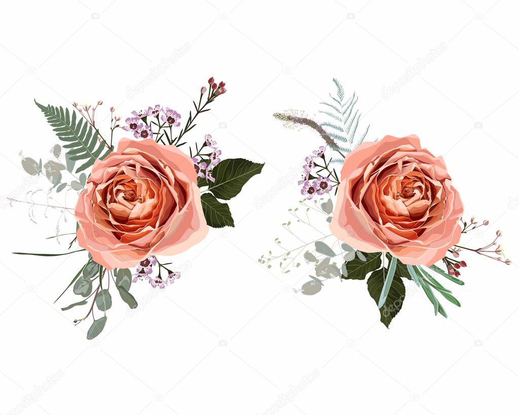 Floral bouquet design set: garden  creamy powder pale Rose wax flower, Eucalyptus branch greenery leaves. Wedding invite card Watercolor designer element set.