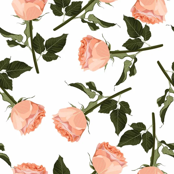 Motif Floral Sans Couture Motif Fond Pêche Jardin Crémeux Rose — Image vectorielle