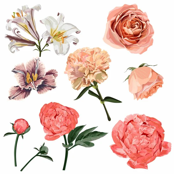 Conjunto Floral Flor Concepto Boda Con Rosas Cremosas Peonía Tulipán — Archivo Imágenes Vectoriales