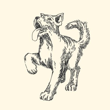 Sevimli köpek. Vintage tarzı.