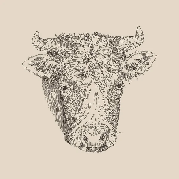 Vaca animal de granja. Estilo vintage . — Vector de stock