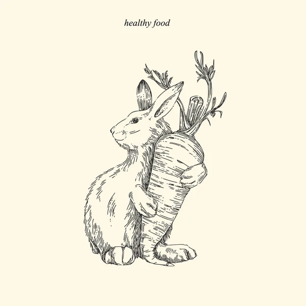 Sağlıklı yiyecekler. Havuçlu tavşan. Vintage tarzı. 