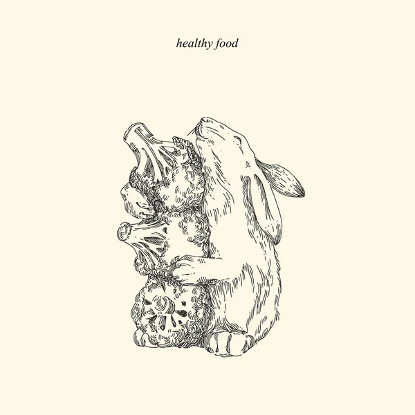Sağlıklı yiyecekler. Brokolili tavşan. Vintage tarzı. 