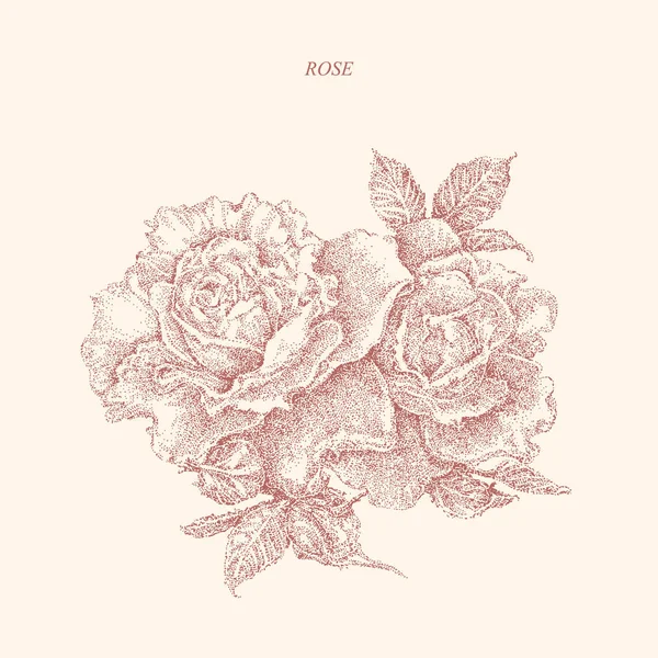 Gül, ne kadar. Vintage tarzı.