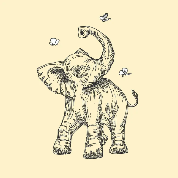 Animales bebés. Salvaje. elefante. Estilo vintage . — Archivo Imágenes Vectoriales