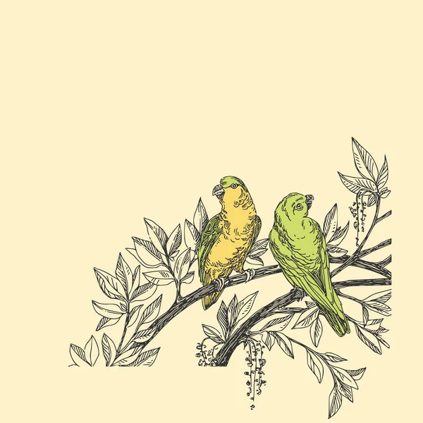 Hermoso fondo tropical con un loro verde.Dos loros sentados en las ramas de un árbol. Estilo vintage . — Vector de stock