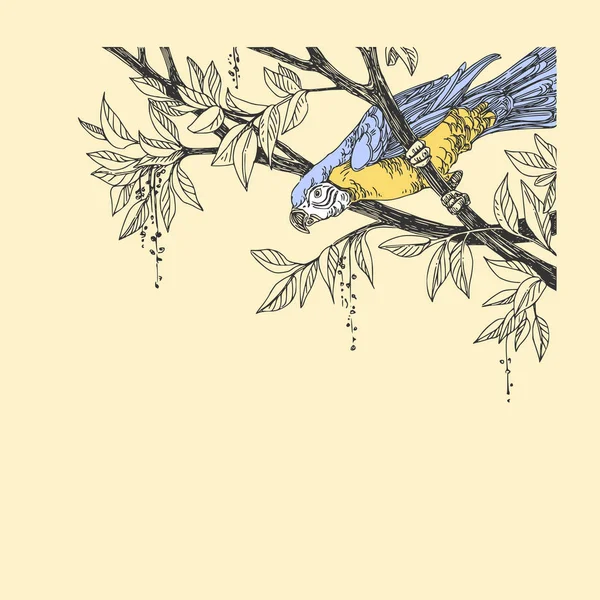 Krásné tropické pozadí s papouškem ARA. Papoušek sedí na větvích stromu. Styl ročníku. — Stockový vektor