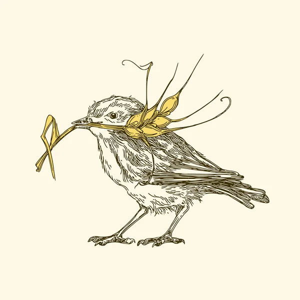 El pájaro sostiene en su pico una espiga de trigo . — Vector de stock